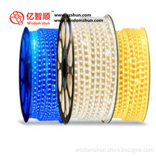 100M Waterproof 5050 220V RGB Led Strip Flexible LED Strip Light with power